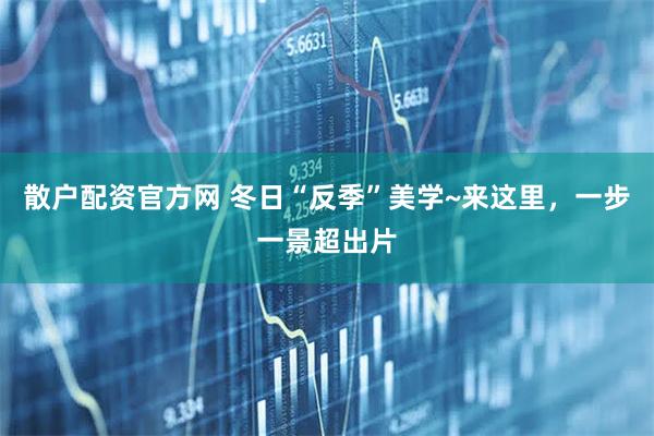 散户配资官方网 冬日“反季”美学~来这里，一步一景超出片
